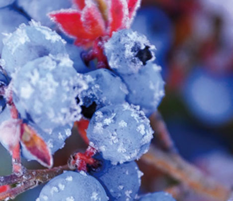 設(shè)備出廠質(zhì)檢